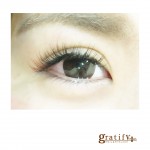 (gratify plus)autumn color