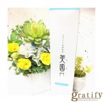 (gratify)美歯口歯磨き粉☆