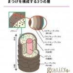 （plus)まつげの乾燥